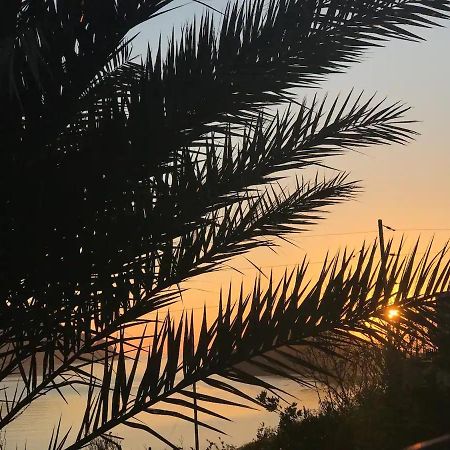 Villa Konstantina Skaliá エクステリア 写真