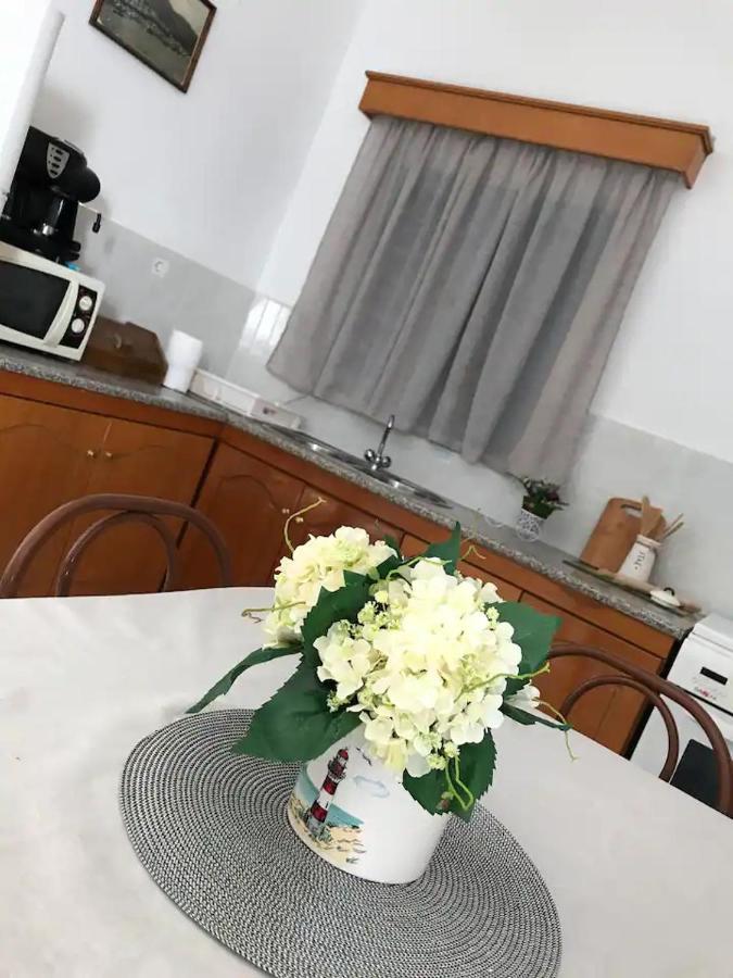 Villa Konstantina Skaliá エクステリア 写真