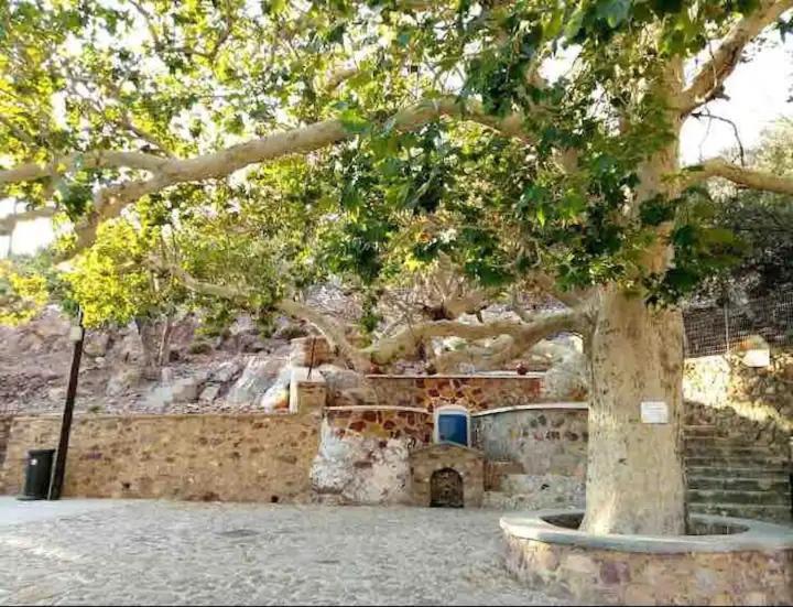 Villa Konstantina Skaliá エクステリア 写真